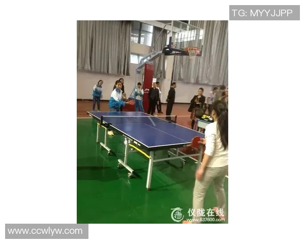 武汉乒乓球队重塑辉煌之路的反击与创新策略探讨 武汉乒乓球队重塑辉煌之路的反击与创新策略探讨