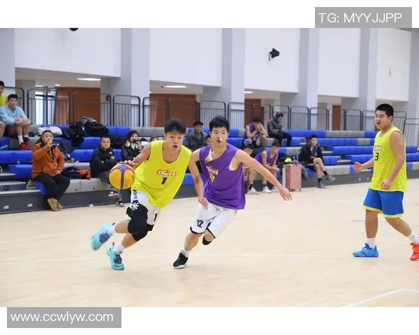 重庆篮球队的灵活性探讨与发展潜力分析 重庆篮球队的灵活性探讨与发展潜力分析