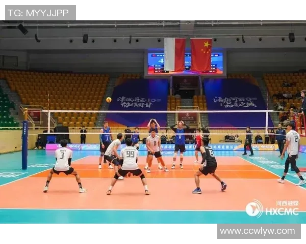 2026排球团队协作排行榜:西安排球队位居第2名 2026排球团队协作排行榜:西安排球队位居第2名