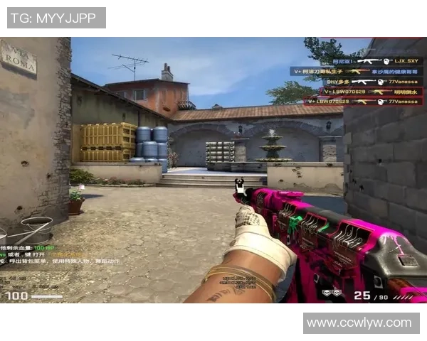 从零开始：CS_GO意识完全攻略_1